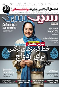 تصویر جلد کتاب دوهفتهنامه سیب سبز ـ شماره ۱۶۳ ـ نیمه دوم شهریور ۹۵