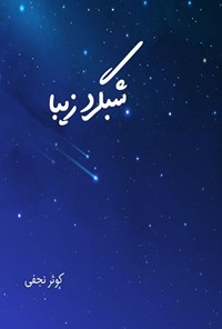 تصویر جلد کتاب شبگرد زیبا