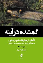 تصویر جلد کتاب گمشده در آینه