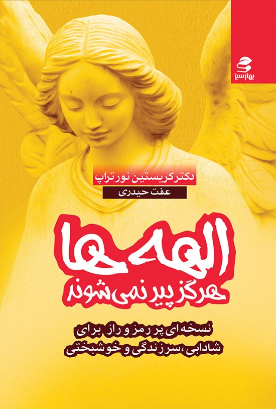 تصویر جلد کتاب الهه ها هرگز پیر نمی شوند