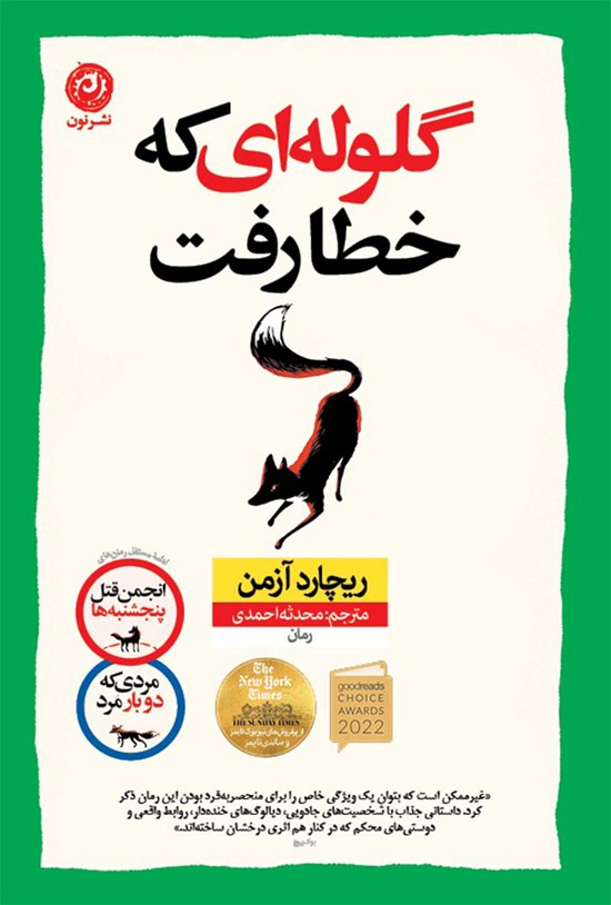 تصویر جلد کتاب گلوله ای که خطا رفت