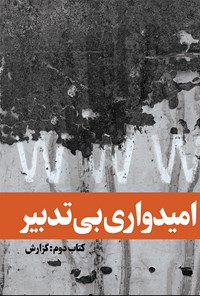 کتاب امیدواری بی تدبیر (جلد دوم؛ گزارش) اثر علی محمدزاده