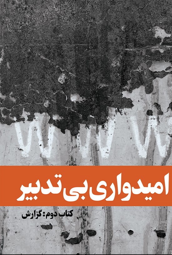 تصویر جلد کتاب امیدواری بی تدبیر (جلد دوم؛ گزارش)