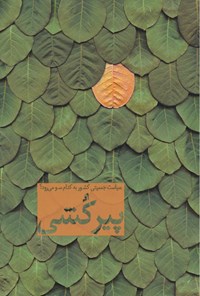 تصویر جلد کتاب پیرکشی: سیاست جمعیتی کشور به کدام سو میرود؟