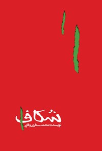 تصویر جلد کتاب شکاف