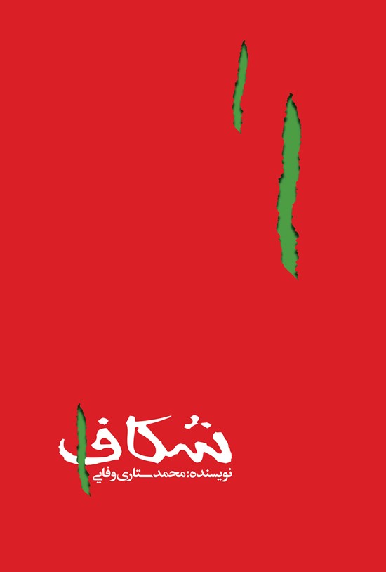 تصویر جلد کتاب شکاف