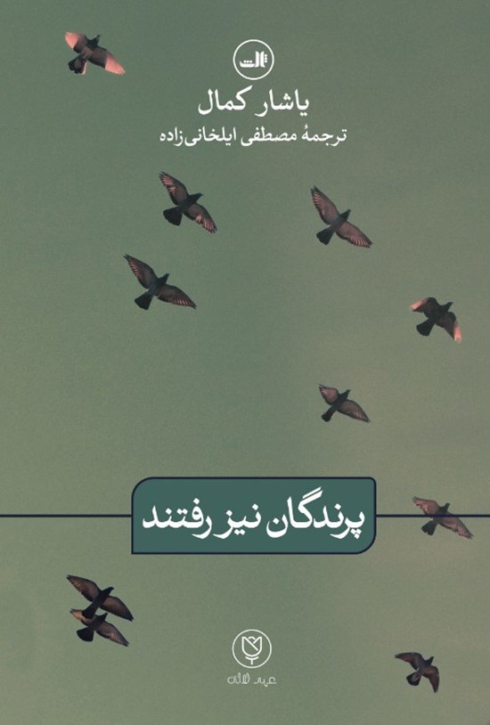 تصویر جلد کتاب پرندگان نیز رفتند