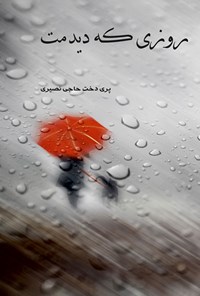 تصویر جلد کتاب روزی که دیدمت