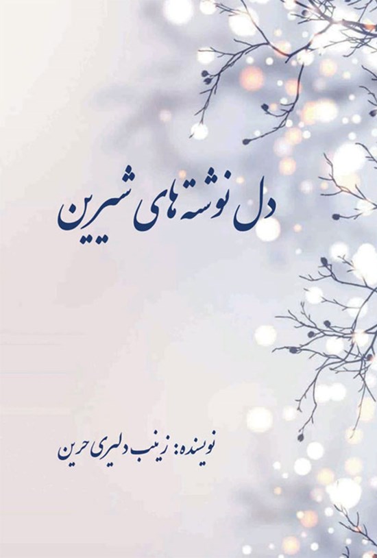 تصویر جلد کتاب دل نوشته های شیرین