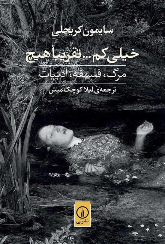 تصویر جلد کتاب خیلی کم... تقریبا هیچ