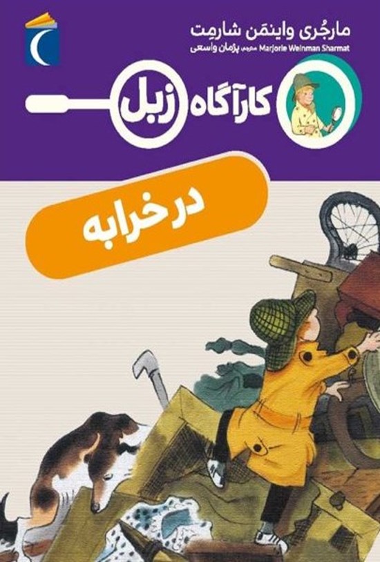 تصویر جلد کتاب در خرابه