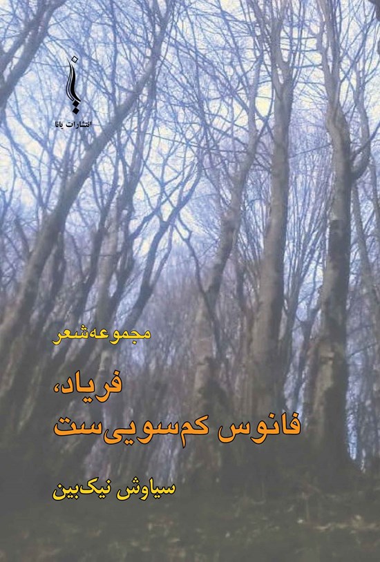 تصویر جلد کتاب فریاد، فانوس کم سویی ست