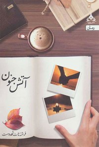 تصویر جلد کتاب آتش جنون