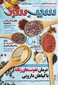 تصویر جلد کتاب دوهفتهنامه سیب سبز ـ شماره ۱۷۱ ـ نیمه دوم دی ۹۵