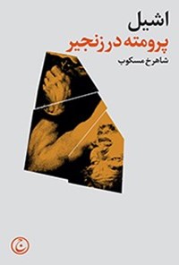 تصویر جلد کتاب پرومته در زنجیر