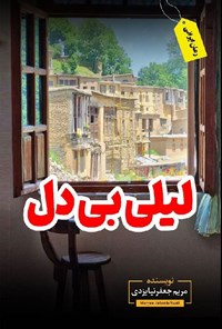 تصویر جلد کتاب لیلی بی دل