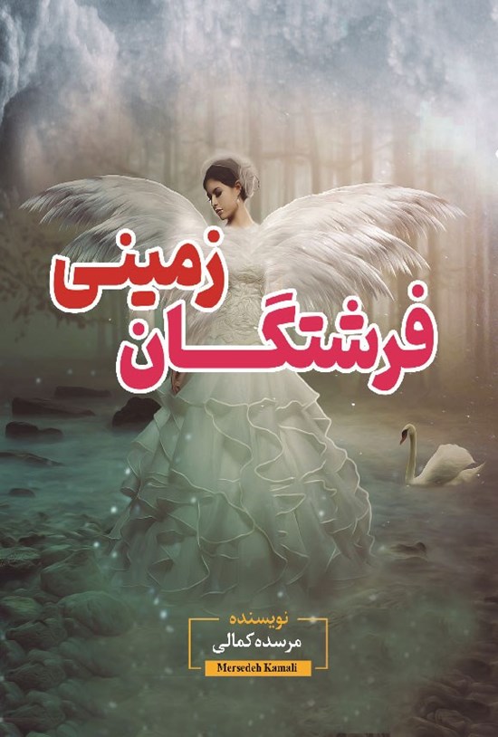 تصویر جلد کتاب فرشتگان زمینی