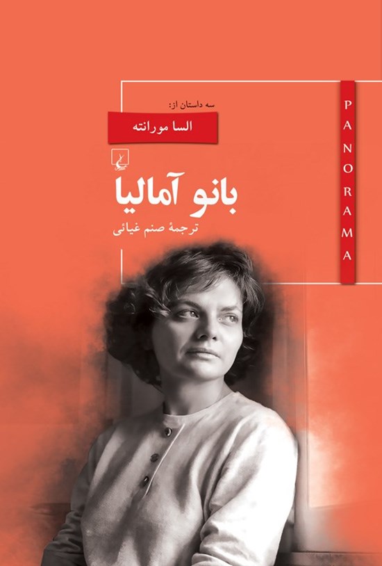 تصویر جلد کتاب بانو آمالیا