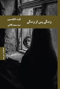 تصویر جلد کتاب زندگی پس از زندگی