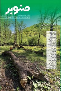 تصویر جلد کتاب فصلنامه صنوبر ـ شماره ۲۰ و ۲۱ ـ بهار و تابستان ۱۴۰۲
