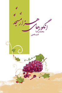 تصویر جلد کتاب انگورهای هزار مسجد