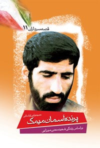 تصویر جلد کتاب پرنده آسمان میمک