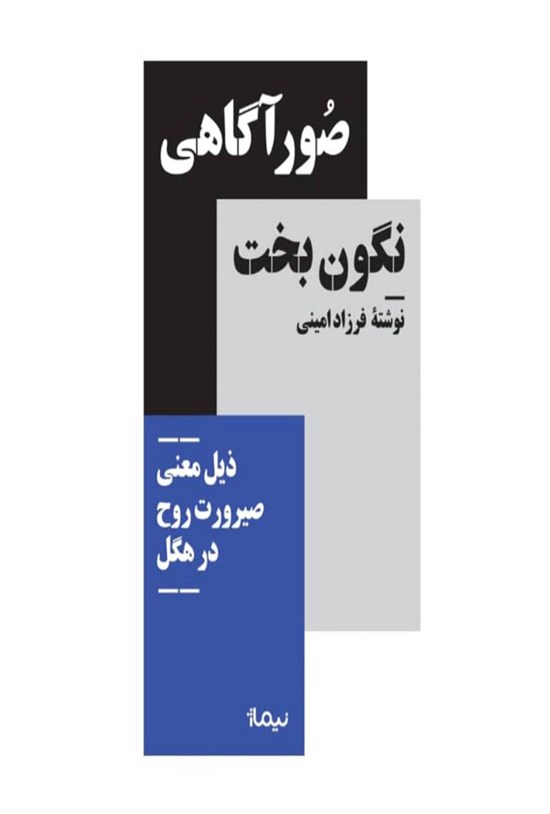 تصویر جلد کتاب صور آگاهی نگون بخت