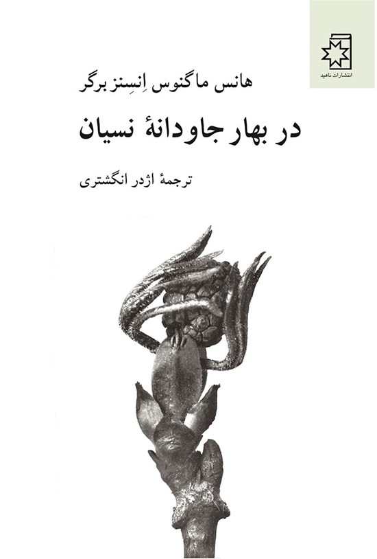 تصویر جلد کتاب در بهار جاودانه نسیان