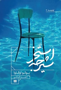 تصویر جلد کتاب استخر شیرجه