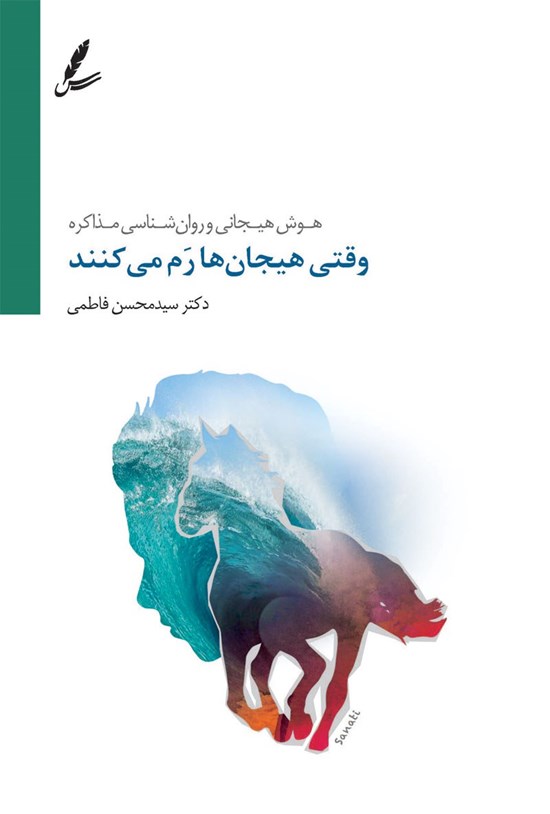 تصویر جلد کتاب وقتی هیجان ها رم می کنند