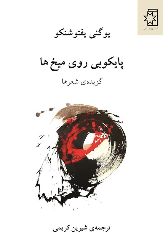 تصویر جلد کتاب پایکوبی روی میخ ها