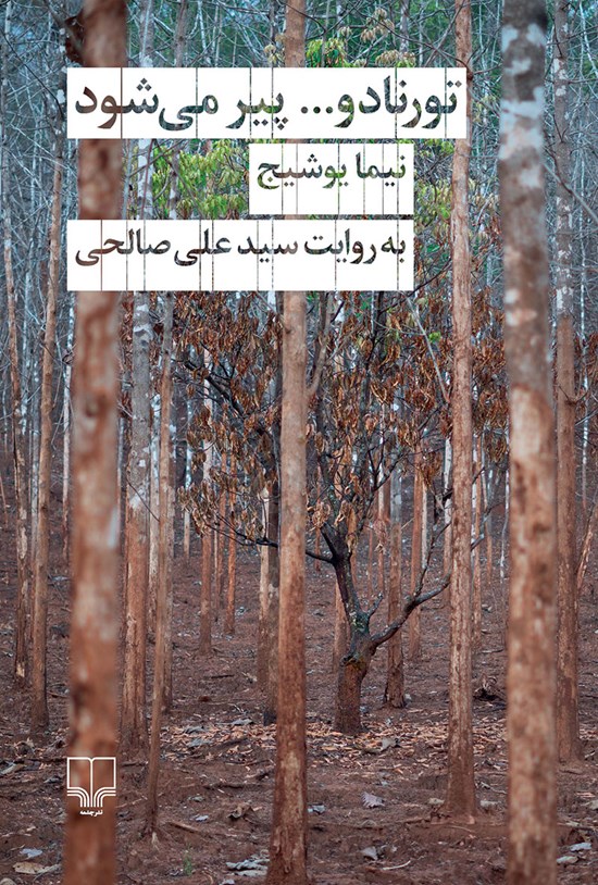 تصویر جلد کتاب تورنادو... پیر می شود