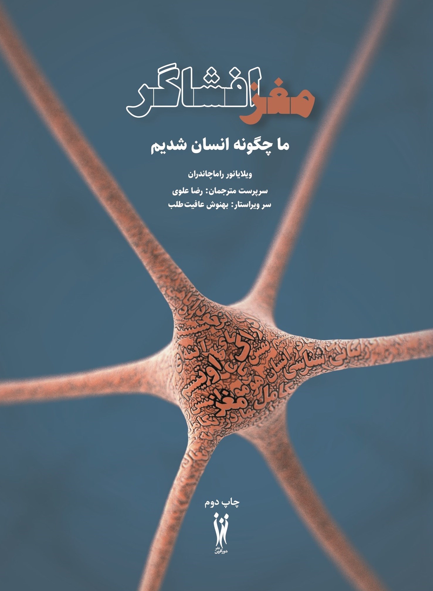 تصویر جلد کتاب مغز افشاگر