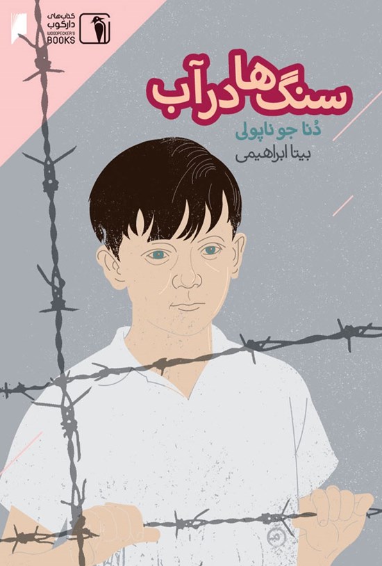 تصویر جلد کتاب سنگ ها در آب