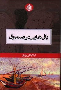 تصویر جلد کتاب بال هایی در صندوق