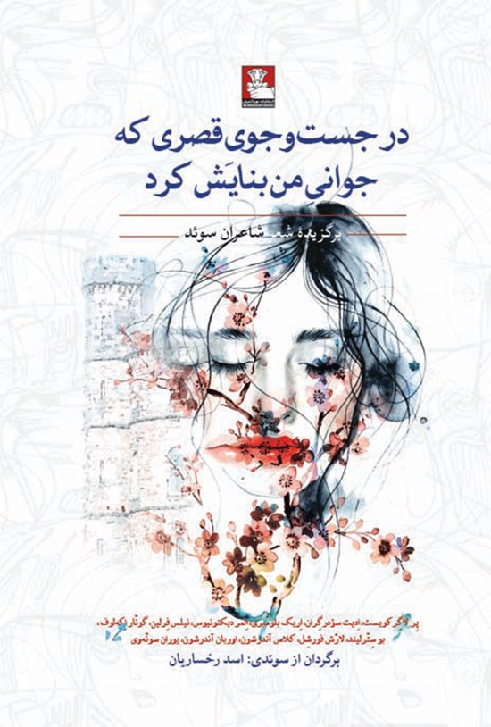 تصویر جلد کتاب در جست و جوی قصری که جوانی من بنایش کرد