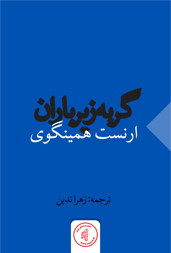 تصویر جلد کتاب گربه زیر باران