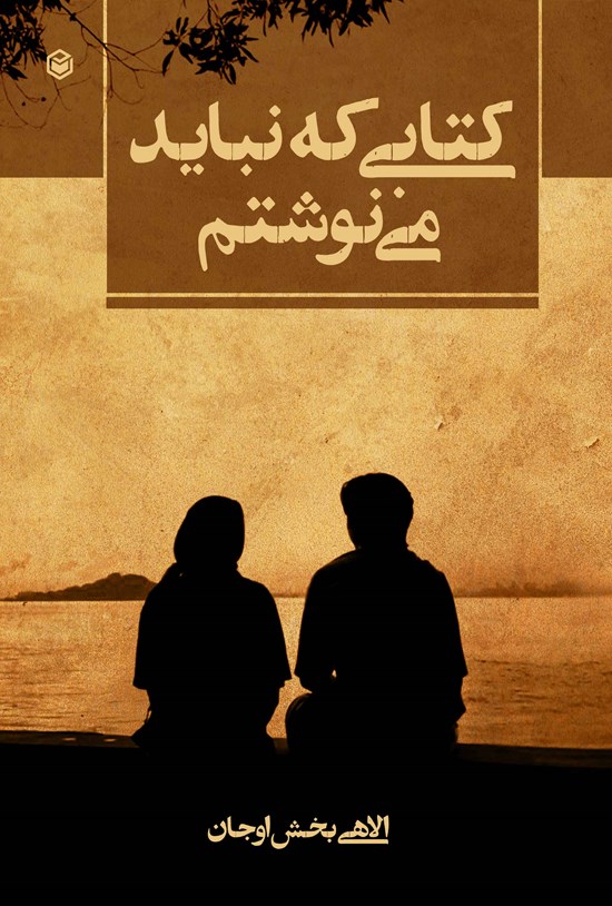 تصویر جلد کتاب کتابی که نباید می نوشتم