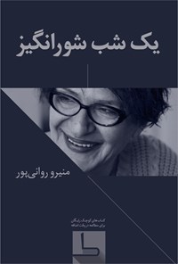 تصویر جلد کتاب یک شب شورانگیز
