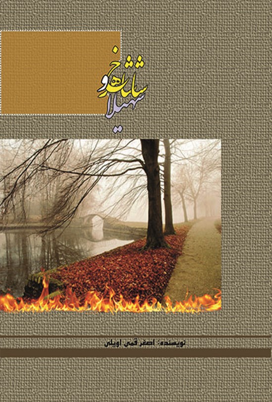 تصویر جلد کتاب سهیلا و شاهرخ