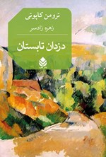 تصویر جلد کتاب دزدان تابستان