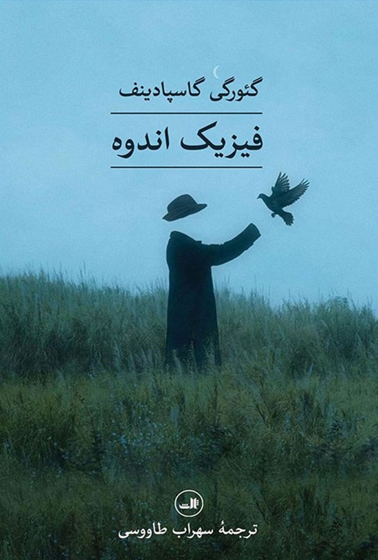 تصویر جلد کتاب فیزیک اندوه