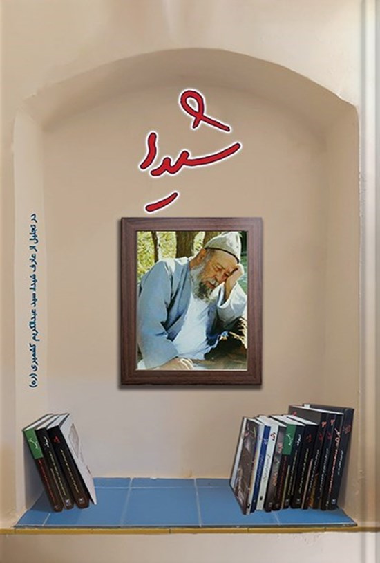 تصویر جلد کتاب شیدا