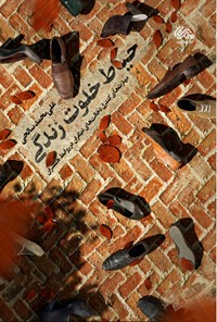 کتاب حیاط خلوت زندگی اثر علی‌محمد صالحی
