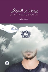 تصویر جلد کتاب پیروزی بر افسردگی