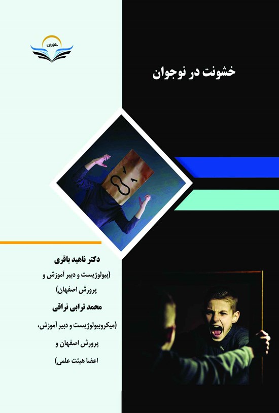 تصویر جلد کتاب خشونت در نوجوان