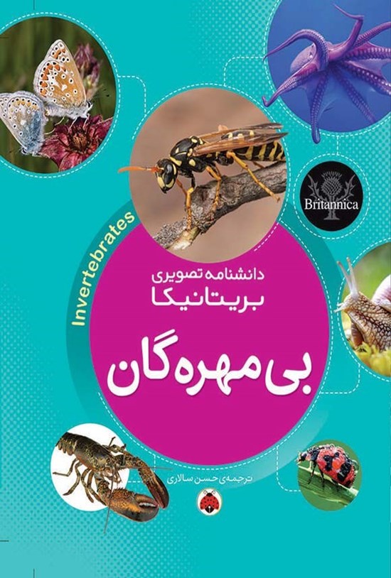 تصویر جلد کتاب دانشنامه تصویری بریتانیکا؛ بی مهره گان