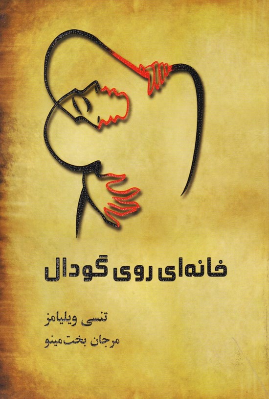 تصویر جلد کتاب خانه ای روی گودال