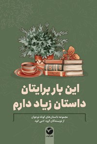 تصویر جلد کتاب این بار برایتان داستان زیاد دارم