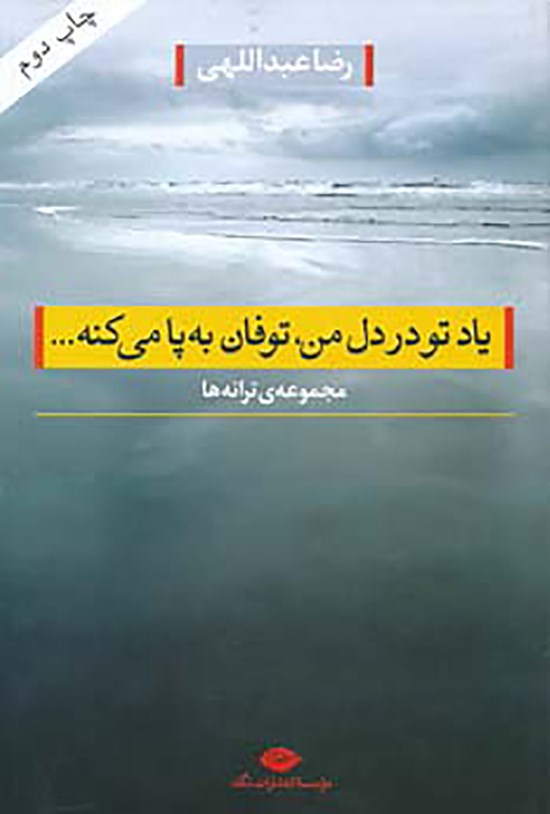 تصویر جلد کتاب یاد تو در دل من ، توفان به پا میکنه...(مجموعهی ترانه)